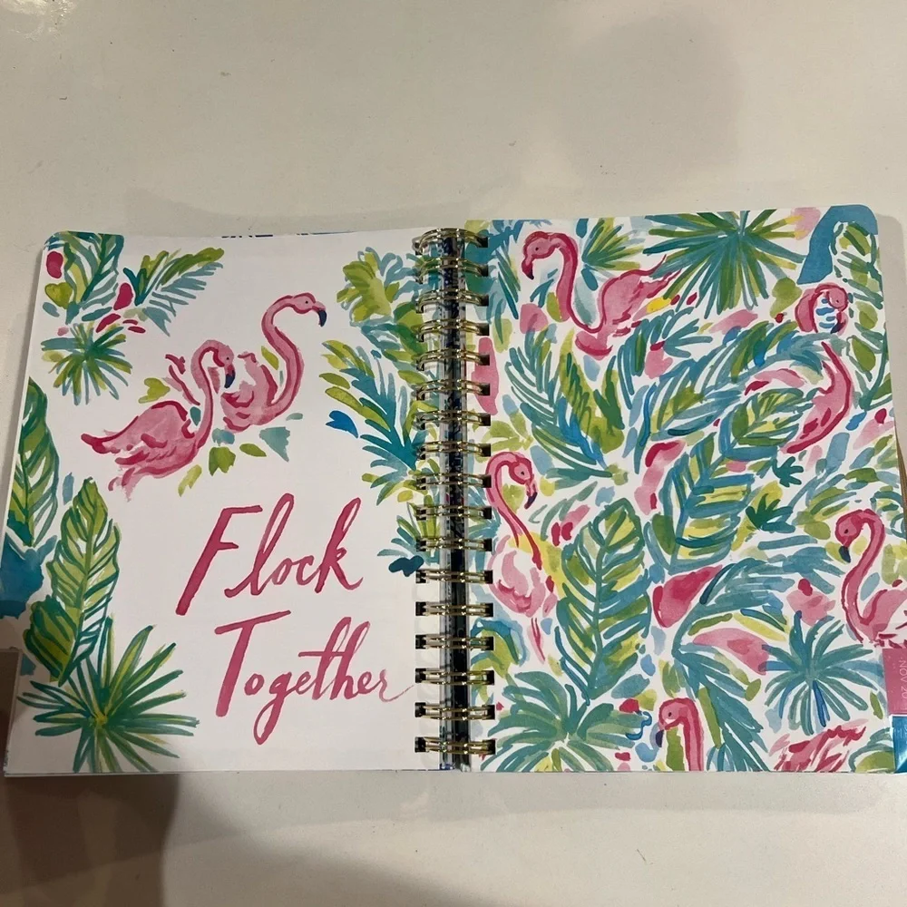 Old Lilly planner
